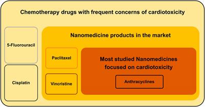 Will nanomedicine become a good solution for the cardiotoxicity of chemotherapy drugs?